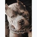 Мъжка тениска Pitbull West Coast Mugshot 2 black 9