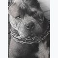 Мъжка тениска Pitbull West Coast Mugshot 2 white 9