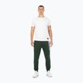 Мъжки панталони Pitbull New Hilltop Jogging dark green 2