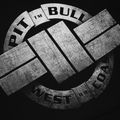 Мъжки потник с качулка Pitbull West Coast Steel Logo черен 4
