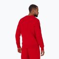 Мъжки суитшърт Pitbull Sherwood Crewneck red 3