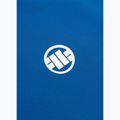 Мъжка поло тениска Pitbull Polo Pique Stripes Regular royal blue 8