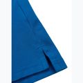Мъжка поло тениска Pitbull Polo Pique Stripes Regular royal blue 9