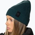 Зимна шапка Pitbull Beanie Velcro Logo green 4