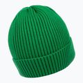 Мъжка зимна шапка Pitbull Beanie Dock green 2