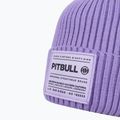 Мъжка зимна шапка Pitbull Beanie Dock lilac 3