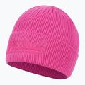 Мъжка зимна шапка Pitbull Beanie Silvas Angel pink