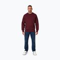 Мъжки суитшърт Pitbull Small Logo Crewneck burgundy 2