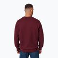 Мъжки суитшърт Pitbull Small Logo Crewneck burgundy 3