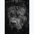 Мъжки суитшърт Pitbull Hooded Born In 1989 black 4