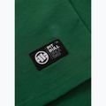 Мъжка тениска Pitbull Small Logo leaf green 9