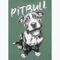 Pitbull Puppy 2 дамска тениска мента 7
