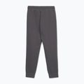 Мъжки спортни панталони Pitbull Sampson graphite 2