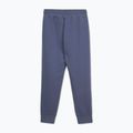 Мъжки дънки Pitbull Sampson Track Pants navy 2