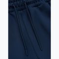 Мъжки спортни панталони Pitbull Royal Blue 3
