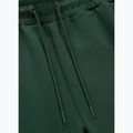 Мъжки спортни панталони Pitbull bottle green 3