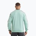 Мъжки суитшърт Pitbull Tape Nugget Crewneck light mint 3