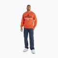 Мъжки суитшърт Pitbull Surfing Dog Crewneck Sweatshirt bright salmon 2