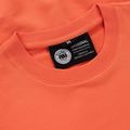 Мъжки суитшърт Pitbull Dog Sd Crewneck Bright Salmon 3