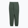 Мъжки спортни панталони Pitbull Lancaster 2 sage green 5
