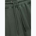 Мъжки спортни панталони Pitbull Lancaster 2 sage green 6