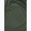 Мъжки спортни панталони Pitbull Lancaster 2 sage green 9