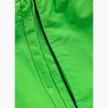 Мъжки бански панталони Pitbull Crownhill fluo green 6