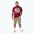 Мъжка тениска Pitbull Logo Palms burgundy 2