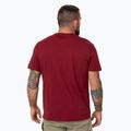Мъжка тениска Pitbull Logo Palms burgundy 3