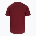 Мъжка тениска Pitbull Logo Palms burgundy 5