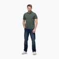 Мъжка поличка Pitbull Washed Polo Shirt sage green 2
