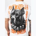 Мъжка бяла тениска Pitbull Blacky 4
