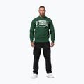 Мъжки суитшърт Pitbull Norton Crewneck green 2