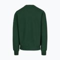 Мъжки суитшърт Pitbull Norton Crewneck green 5