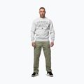 Мъжки суитшърт Pitbull So Cal Crewneck grey/melange 2