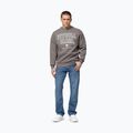 Мъжки суитшърт Pitbull So Cal Crewneck taupe 2