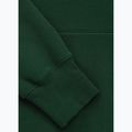Мъжки суитшърт Pitbull Norton Hooded hunter green 8