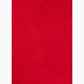 Мъжки суитшърт Pitbull San Diego Ca Hooded red 9