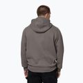 Мъжки суитшърт Pitbull So Cal Hooded taupe 3