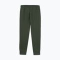 Мъжки панталони Pitbull Sampson Track Pants old green 5