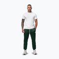 Мъжки панталони Pitbull Trackpants Tape Logo Terry Group pants bottle green 2