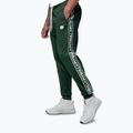 Мъжки панталони Pitbull Trackpants Tape Logo Terry Group bottle green 5