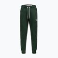 Мъжки панталони Pitbull Trackpants Tape Logo Terry Group bottle green 6