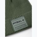 Зимна шапка Pitbull Beanie Dock grassy green 2