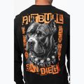 Мъжки суитшърт Pitbull Crewneck Blacky black 4