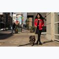 Дамско яке Pitbull Angela San Diego Hooded Varsity fluo/red 17