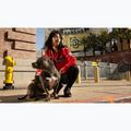 Дамско яке Pitbull Angela San Diego Hooded Varsity fluo/red 19