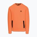 Мъжки суитшърт Pitbull Dogwood Crewneck Sweatshirt fluo orange 4