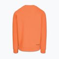Мъжки суитшърт Pitbull Dogwood Crewneck Sweatshirt fluo orange 5