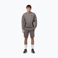 Мъжки суитшърт Pitbull Dogwood Crewneck Sweatshirt taupe 2
